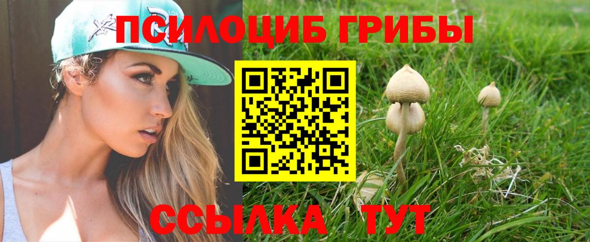 Ливны  цены   Вход с VPN  Галлюциногенные грибы Psilocybe 