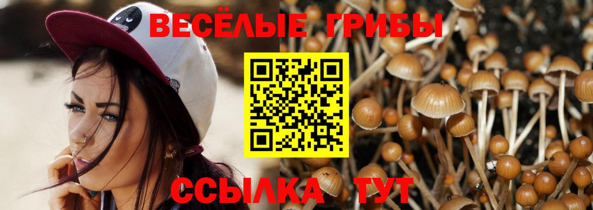 Галлюциногенные грибы Magic Shrooms Ливны